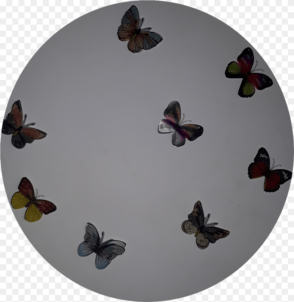 Mariposas Transformation Transfrmate Transforma Large Blue, Animal, Bird, Flying, Butterfly Png