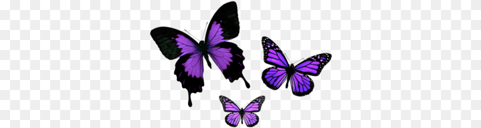 Mariposas Tumblr Tranches De Vie Book, Purple, Animal, Butterfly, Insect Png Image