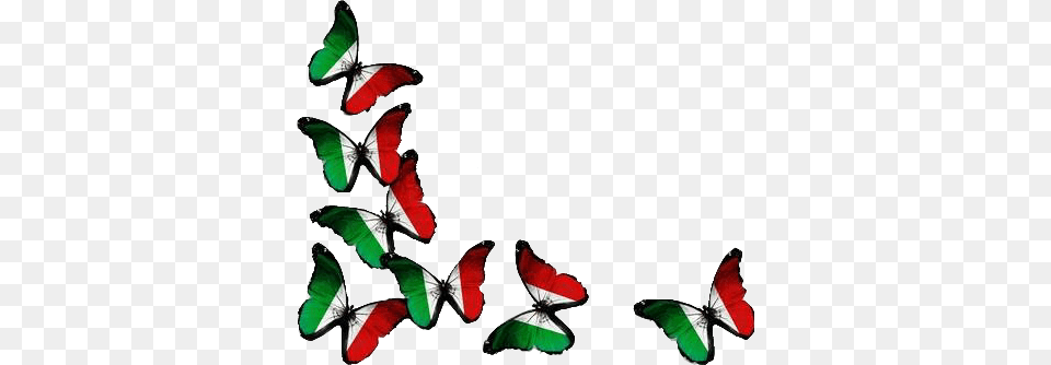 Mariposas Vivamexico Mexico Tricolor Uae Flag Back Ground, Nature, Night, Outdoors, Flower Free Png Download