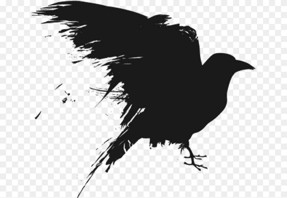 Mark Works Of Edgar Allan Poe Volume, Animal, Bird, Blackbird, Person Free Png