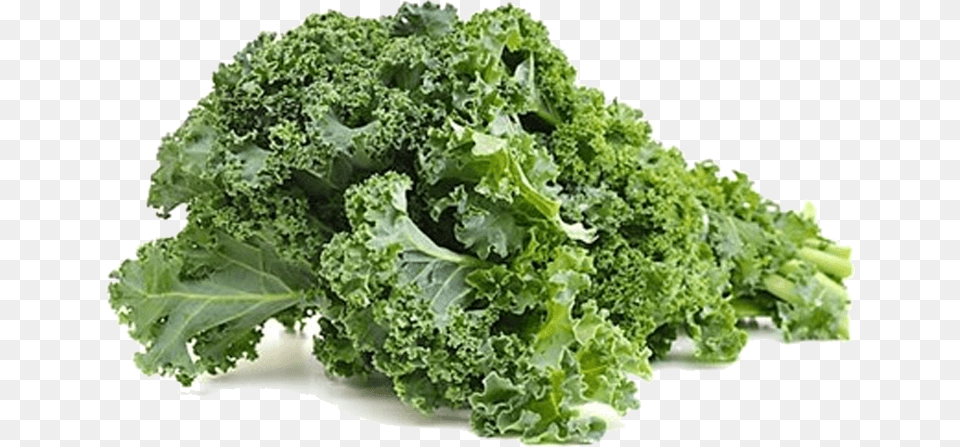 Marketed In Denmark By Bioforce Danmark As Kale Leaves In Urdu, Food, Leafy Green Vegetable, Plant, Produce Free Png