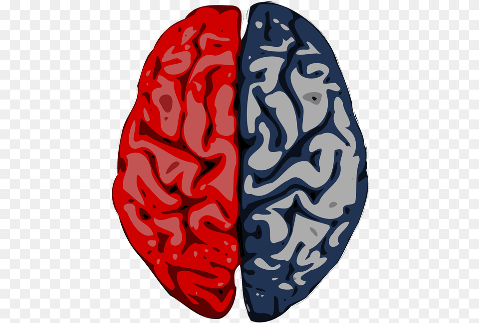 Marketing Requires Creative And Analytical Minds Transparent Left Brain Right Brain, Vegetable, Food, Produce, Nut Free Png