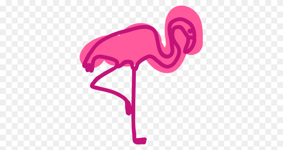 Marketing Social Media, Animal, Bird, Flamingo Free Transparent Png