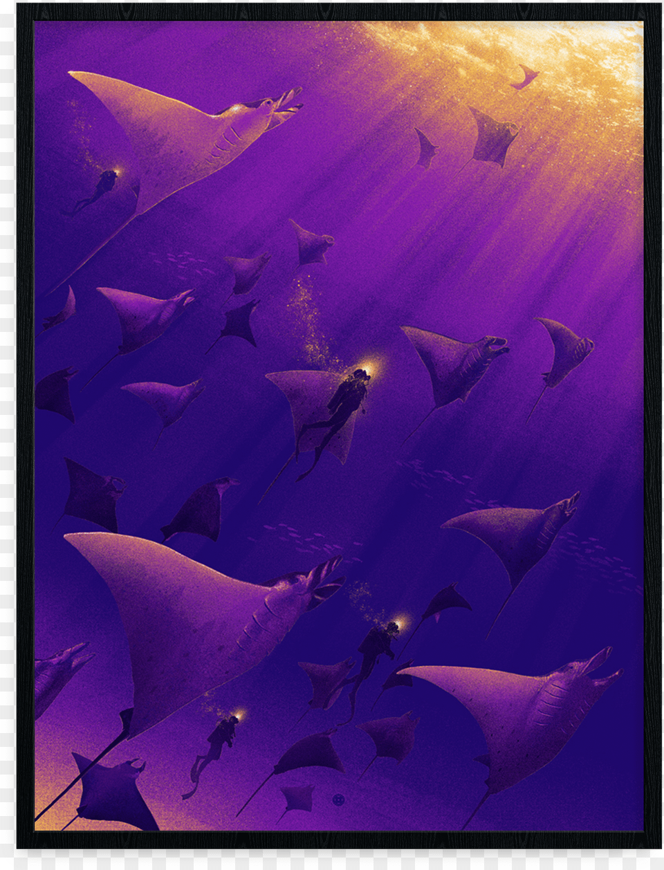 Marko Manev Wings Under The Waves, Animal, Fish, Manta Ray, Sea Life Png Image