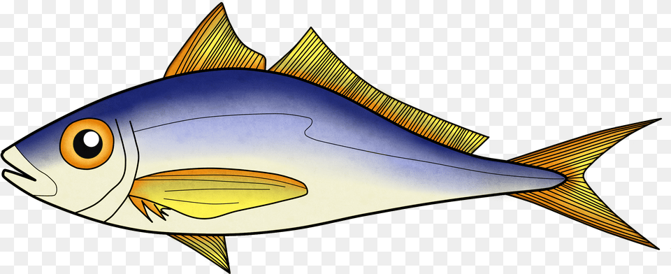 Marlin, Animal, Fish, Sea Life, Tuna Free Png