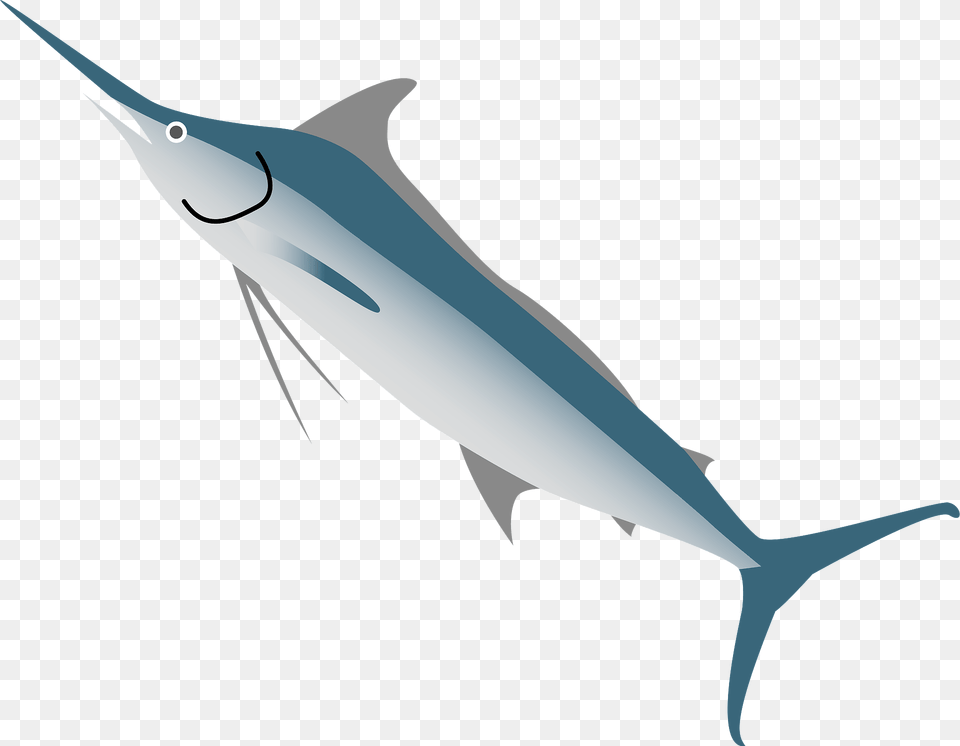 Marlin Fish Animal Clipart, Sea Life, Shark, Swordfish, Tuna Free Png Download