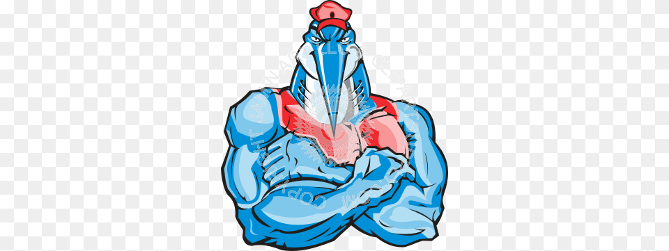 Marlin Man With Crossed Arms, Animal, Beak, Bird, Adult Png Image