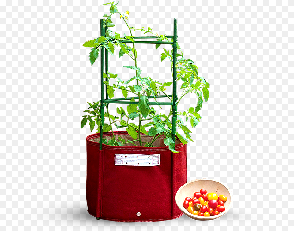 Maroon Big Tomato Fabric Planter 42 X 41cm With Stacking Kit Collapsible Planting Box, Potted Plant, Jar, Plant, Vase Png