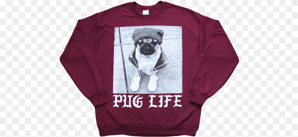 Maroon Pug Life Crewneck Pug, Sweatshirt, Sweater, Knitwear, Clothing Png