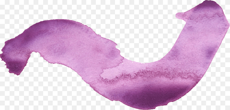 Maroon Purple Watercolor Brush Stroke Transparent Watercolor Paint, Body Part, Flower, Petal, Plant Png