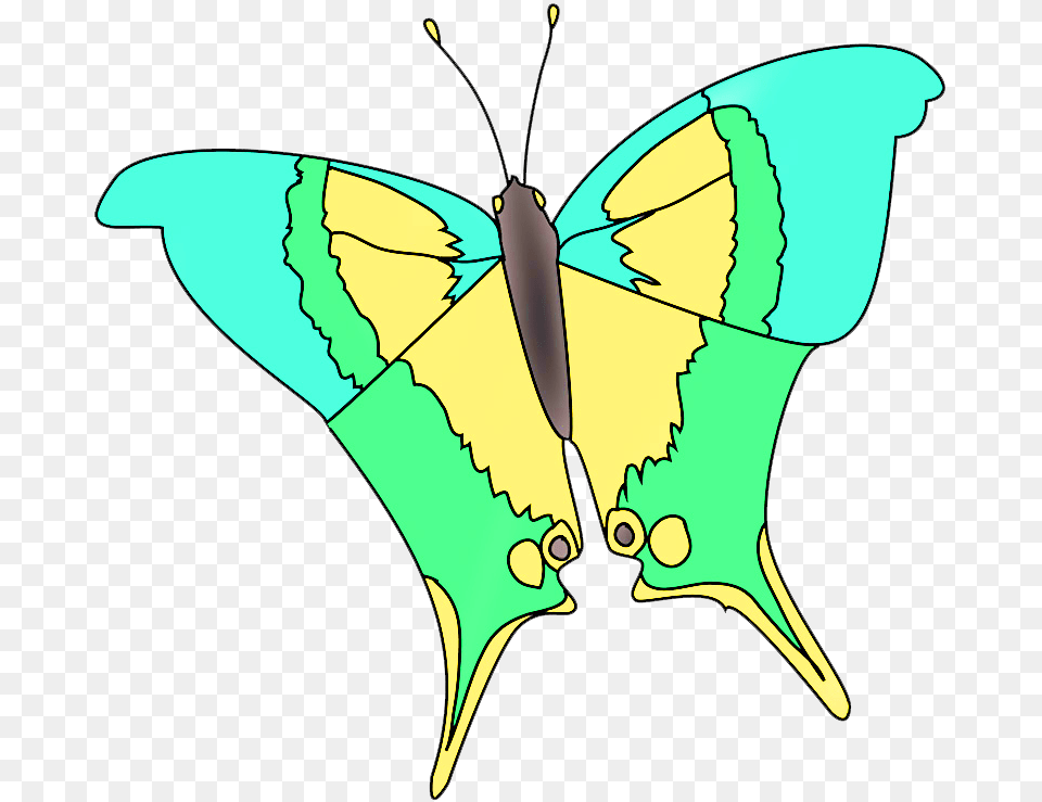Marpesialole Butterfly Fantasy Colors, Animal, Insect, Invertebrate Free Png