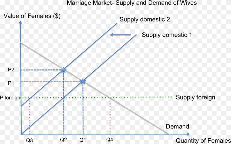 Marriage Market Supply And Demand Of Wives In India Marriage Market Supply And Demand Graph, Bow, Weapon, Nature, Night Free Png