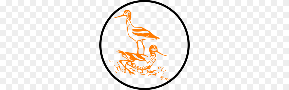 Marsh Clip Art, Animal, Beak, Bird, Waterfowl Free Png