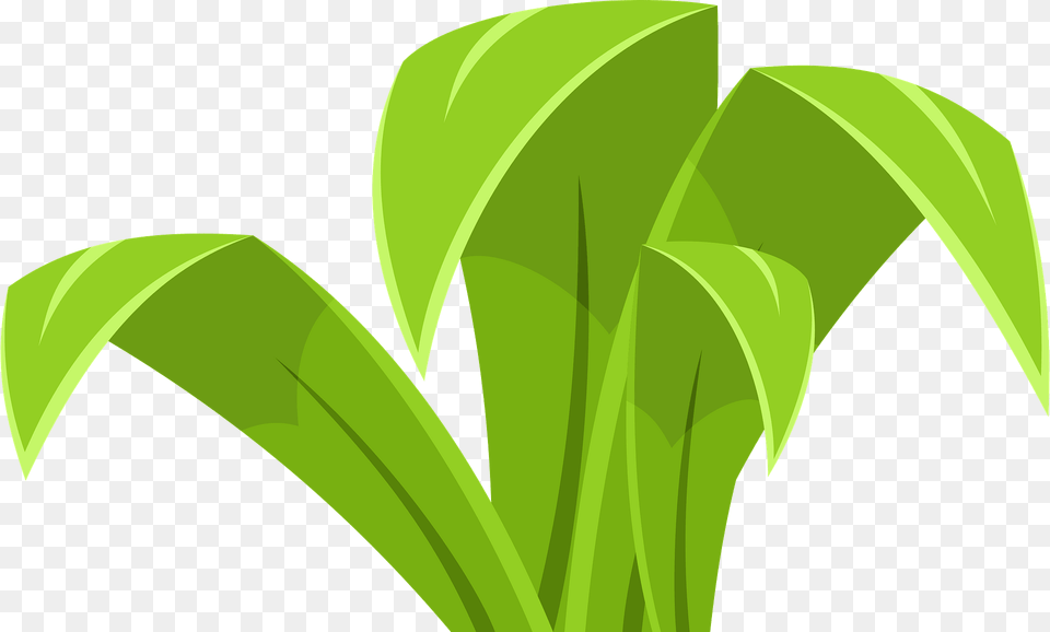 Marsh Grass Clipart, Green, Leaf, Plant, Vegetation Png Image