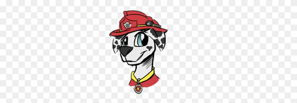 Marshall Pawpatrol, Person, Pirate Free Png