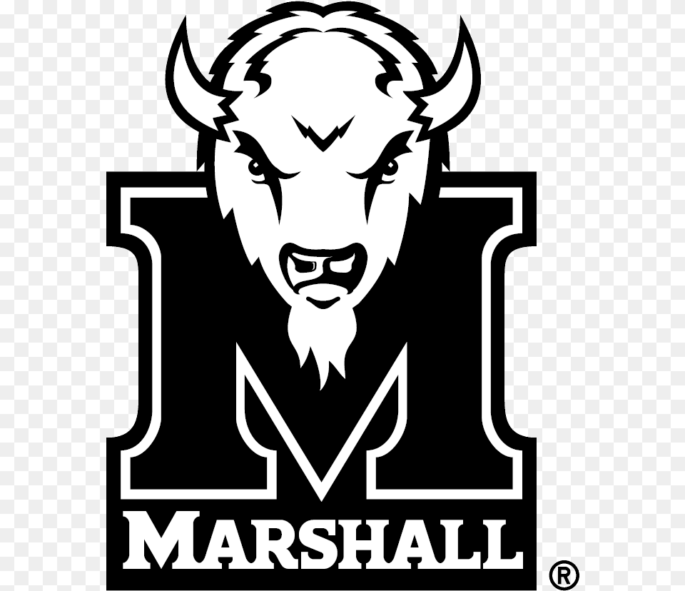 Marshall Thundering Herd, Adult, Person, Man, Male Free Png