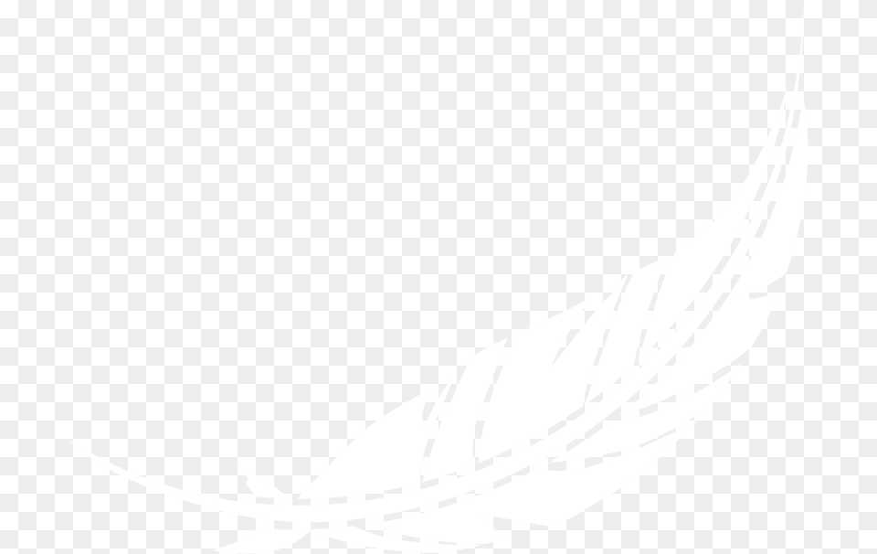 Marta Farmer Feather Illustration, Leaf, Plant, Animal, Fish Png Image