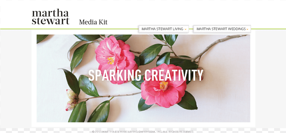 Martha Stewart Living Omnimedia Advertising Reviews, Flower, Petal, Plant, Rose Free Png