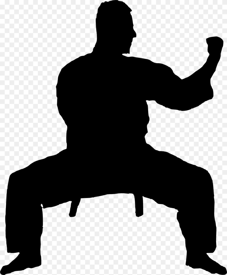 Martial Arts Silhouette, Martial Arts, Person, Sport, Adult Free Png