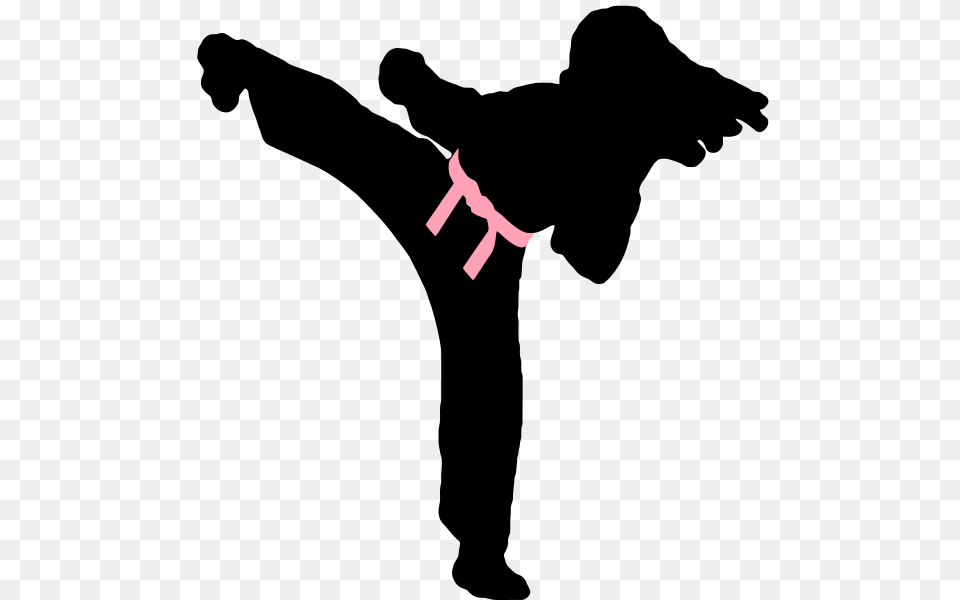 Martial Arts Symbols Group With Items, Animal, Bird, Flying, Body Part Png Image