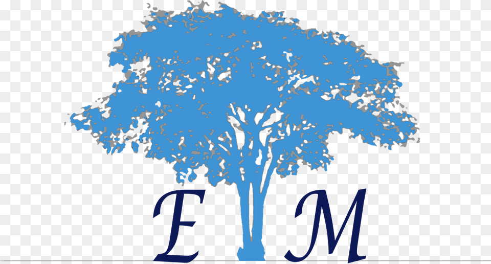 Martin Chautari Logo, Oak, Plant, Sycamore, Tree Free Transparent Png