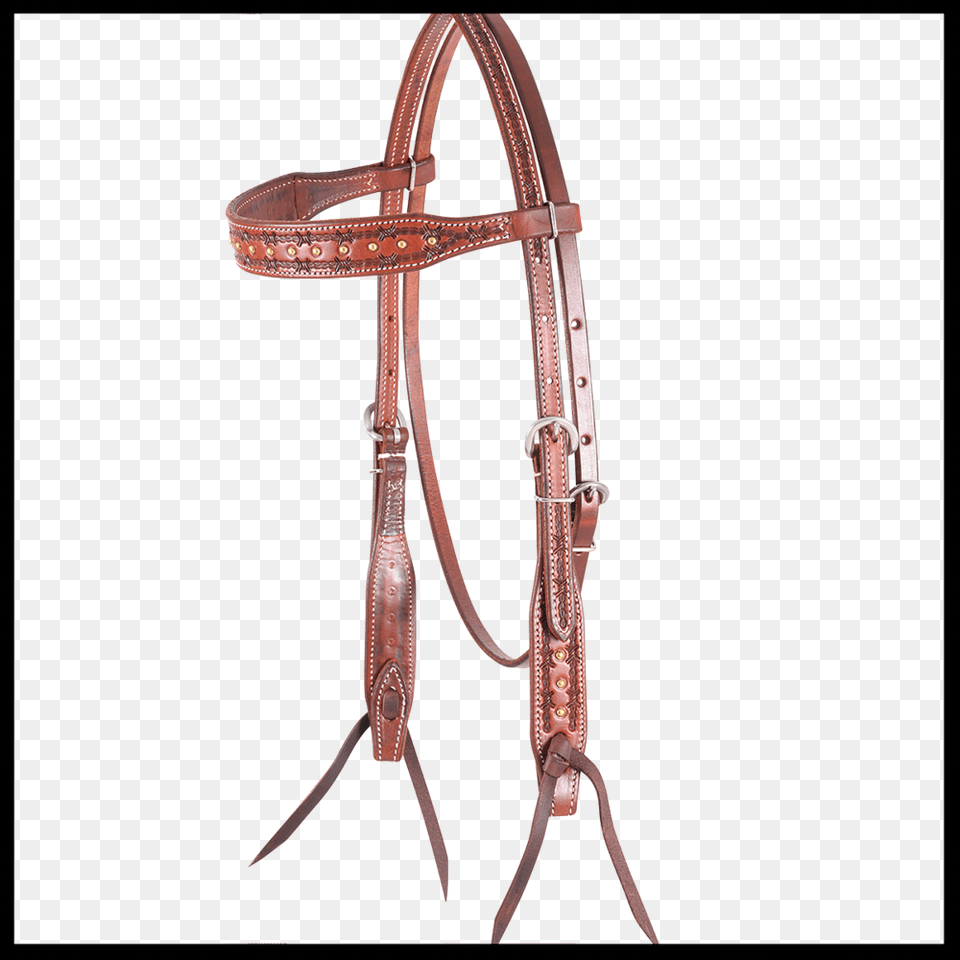 Martin Saddlery Browband With Barbwire Border Amp Brass, Halter Png Image