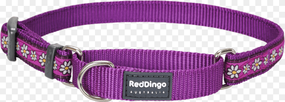 Martingale Daisy Chain Dog Collar Dog Chain Collar, Accessories, Belt Free Png