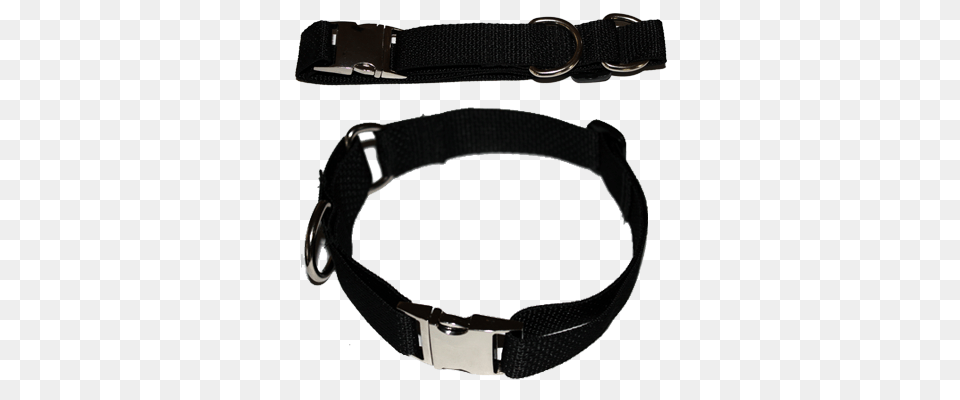 Martingale Dog Collar W Buckle, Accessories, Strap Free Png Download