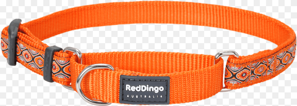 Martingale Snake Eyes Orange Designer Dog Collar Dog Collar, Accessories Png Image