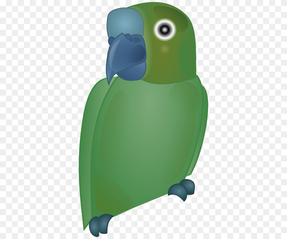 Martinix, Animal, Bird, Parakeet, Parrot Free Transparent Png