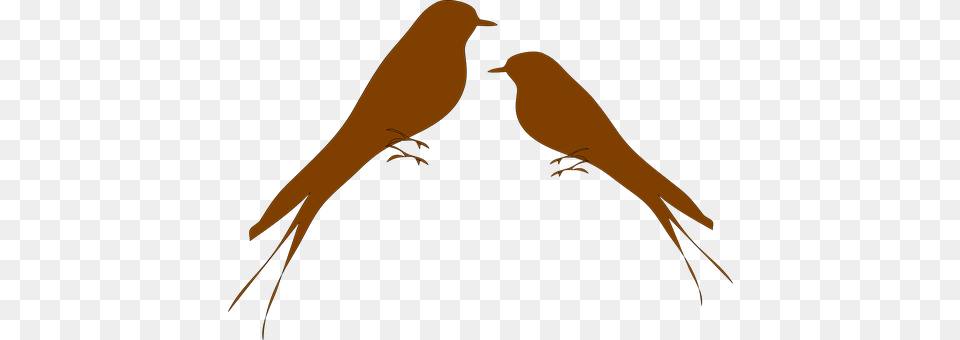 Martins Animal, Bird, Canary Free Png