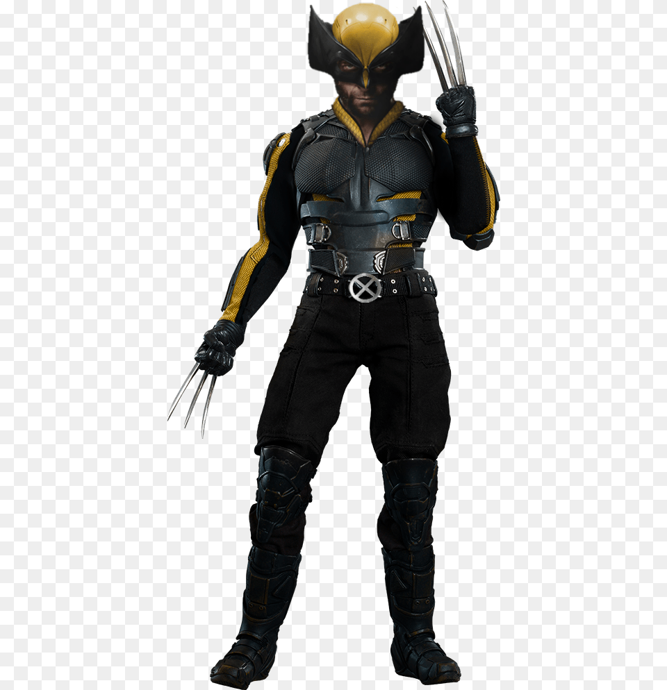 Marvel Fanon Wolverine Days Of Future Past, Adult, Male, Man, Person Free Png Download