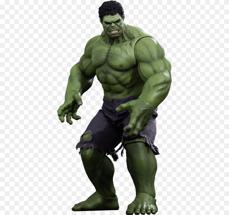 Marvel Hulk Sixth Scale Figure By Hot Toys Avengers Hulk Hot Toys, Adult, Male, Man, Person Free Transparent Png