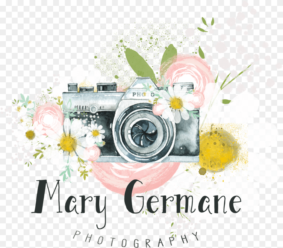 Mary Germane Photography, Flower, Plant, Daisy, Rose Png Image