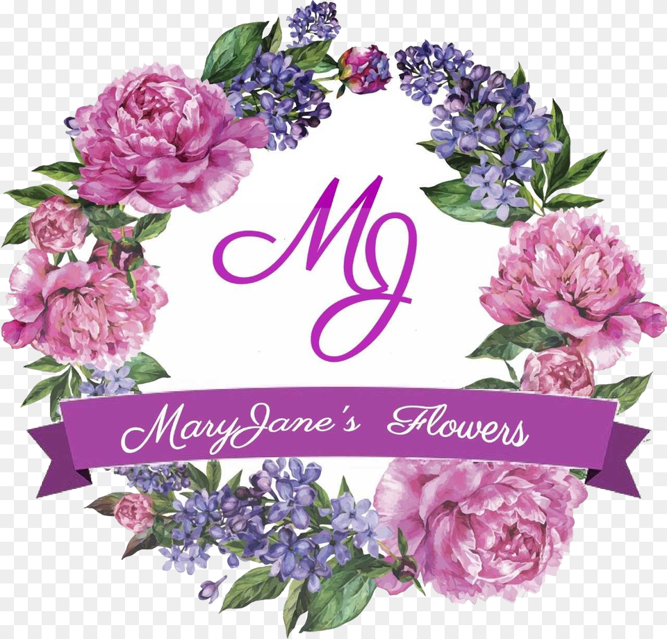 Mary Jane Flower, Dahlia, Plant, Purple, Rose Free Transparent Png