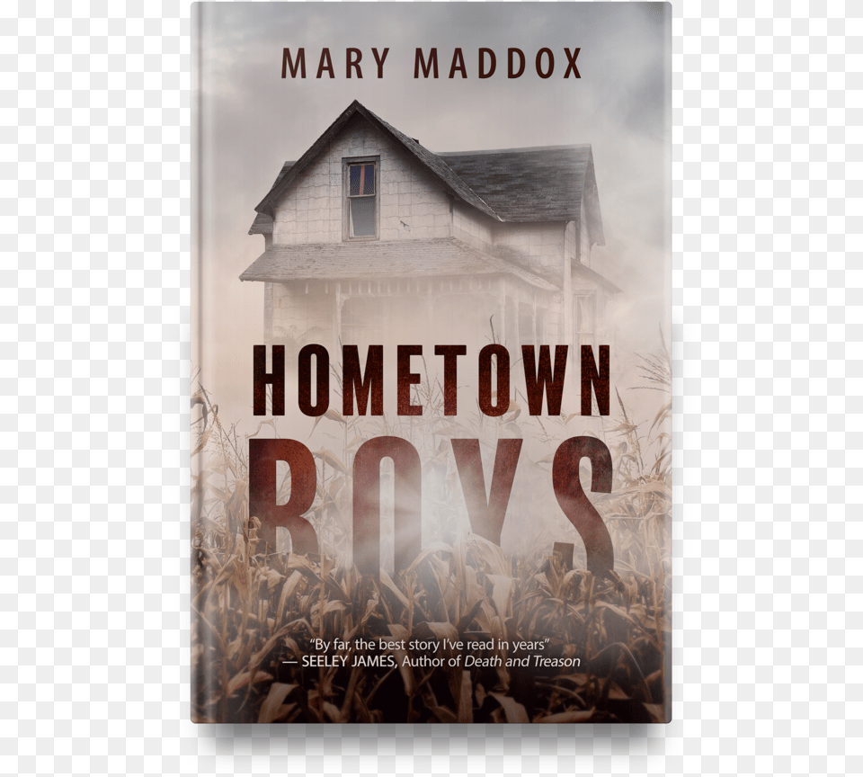 Mary Maddox S Hometown Boys Poster, Advertisement, Publication, Book, Outdoors Png