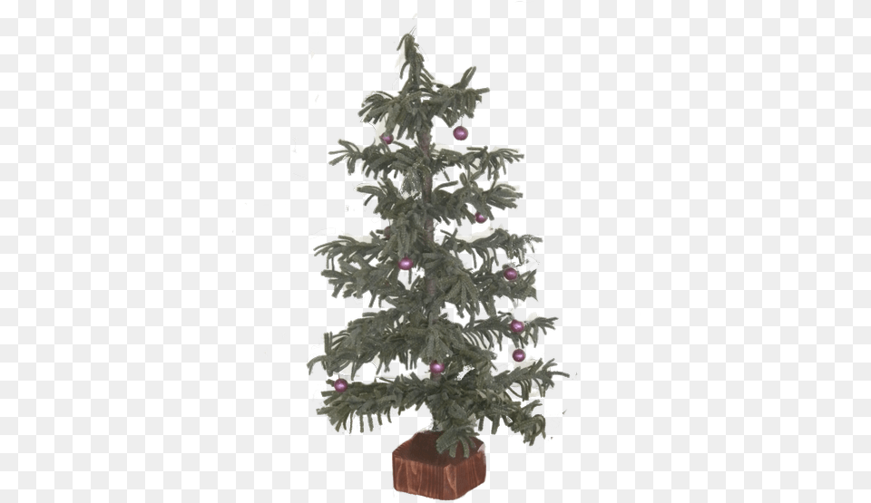 Mary Returns To Our Studio To Instruct You Quothowquot To Christmas Tree, Plant, Christmas Decorations, Festival, Chandelier Free Png