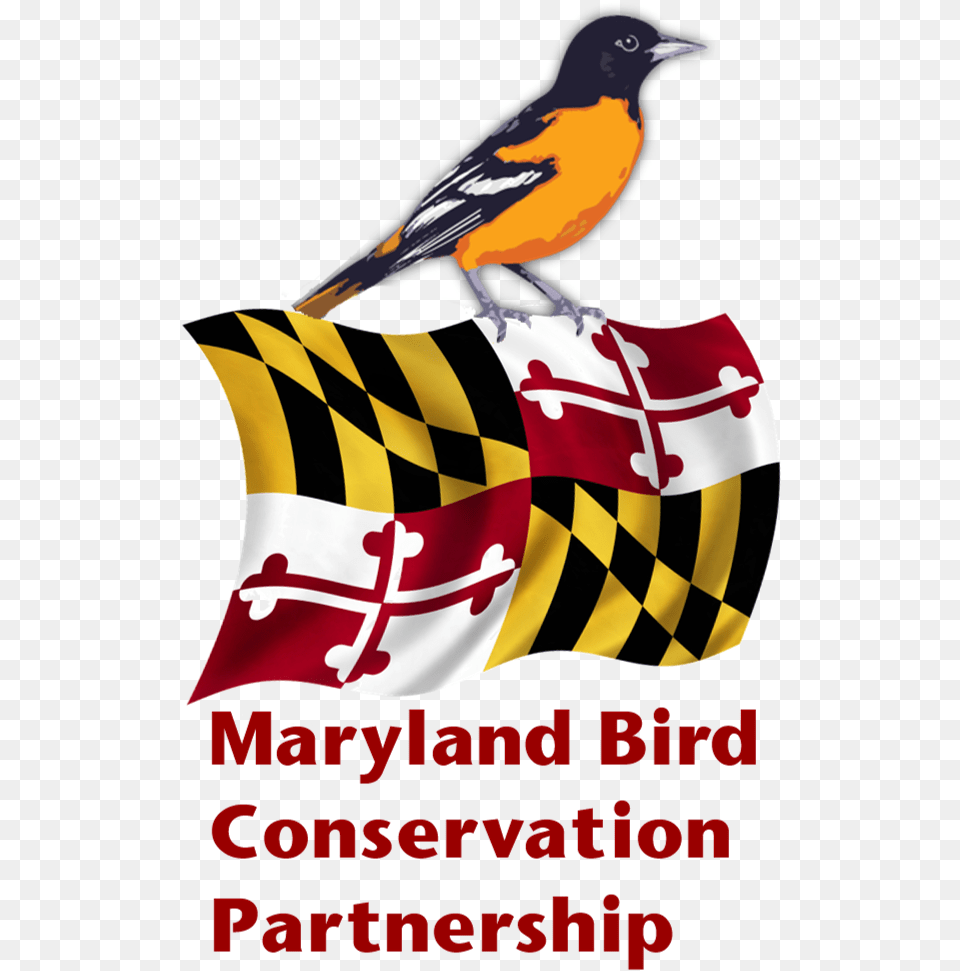 Maryland Bird Conservation Partnership Maryland State Flag, Advertisement, Animal Free Png