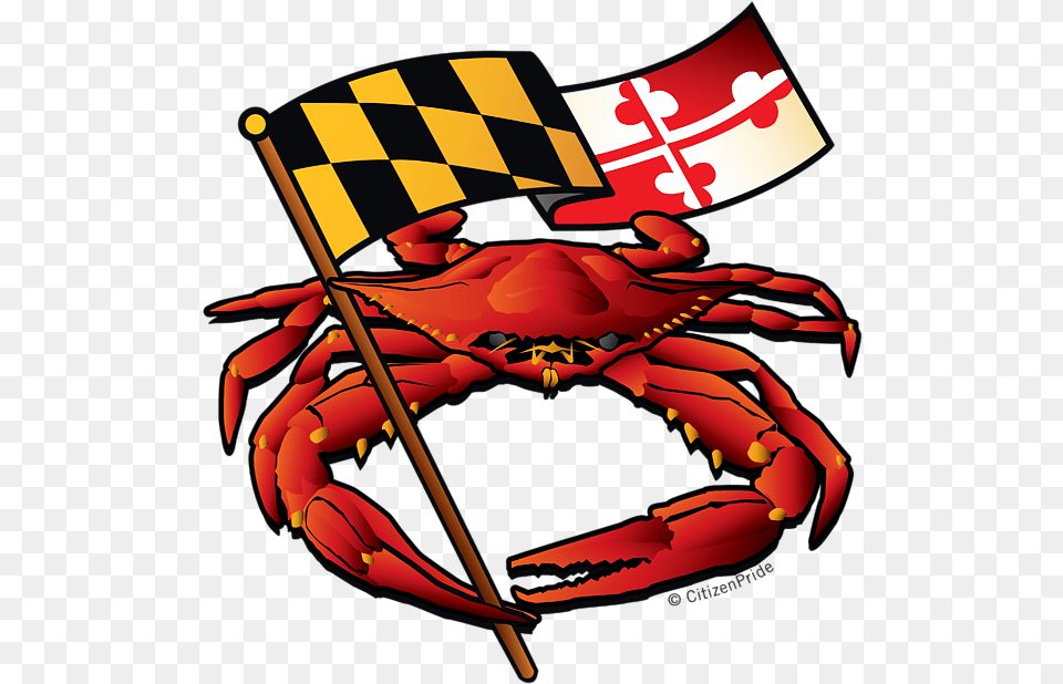 Maryland Flag Crab, Food, Seafood, Animal, Sea Life Free Png