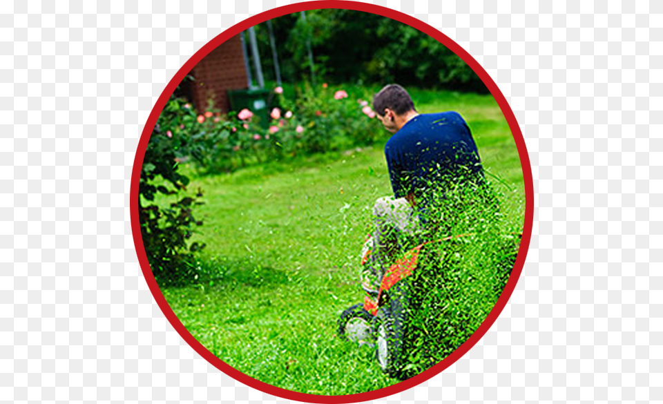 Maryland Lawn Mowing Pros Mulch Or Collect Grass, Plant, Outdoors, Nature, Gardening Png Image
