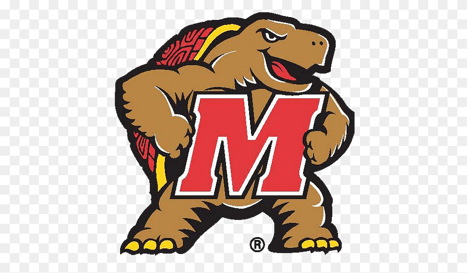 Maryland Terps Terrapin M Logo, Animal, Bear, Mammal, Wildlife Free Png Download