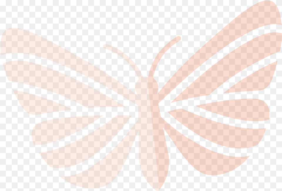 Mas Mariposas Butterfly, Animal, Insect, Invertebrate, Moth Free Png