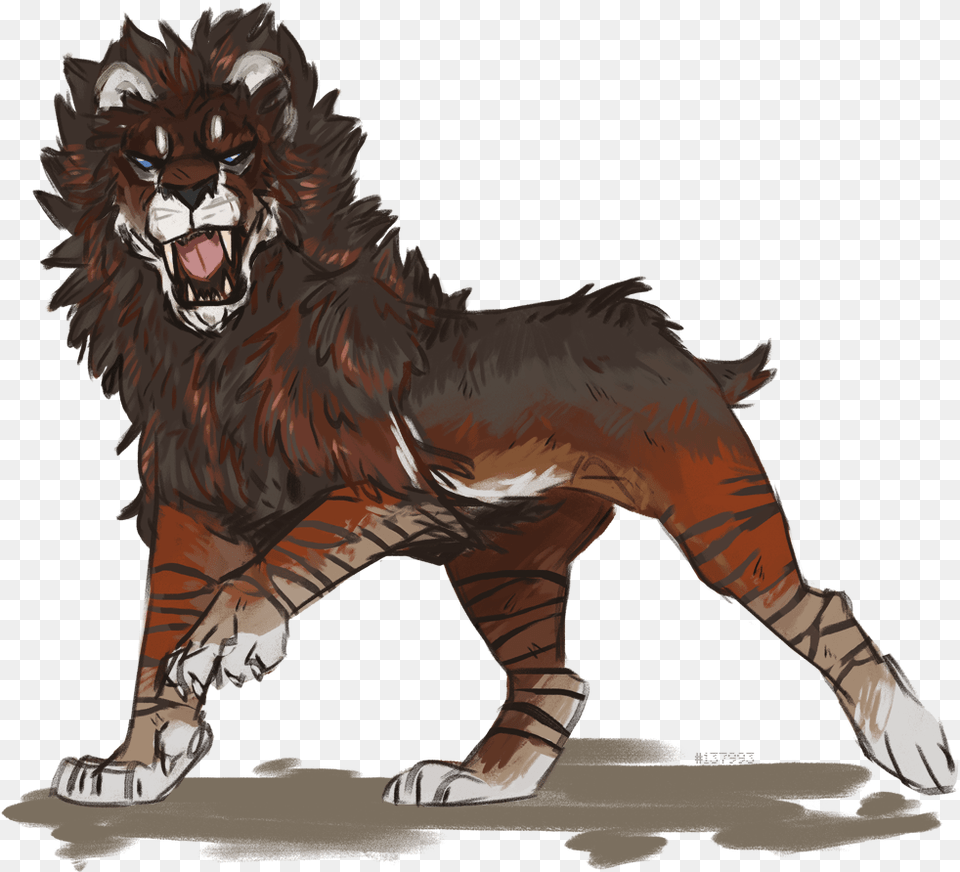 Masai Lion, Animal, Mammal, Wildlife, Person Free Png