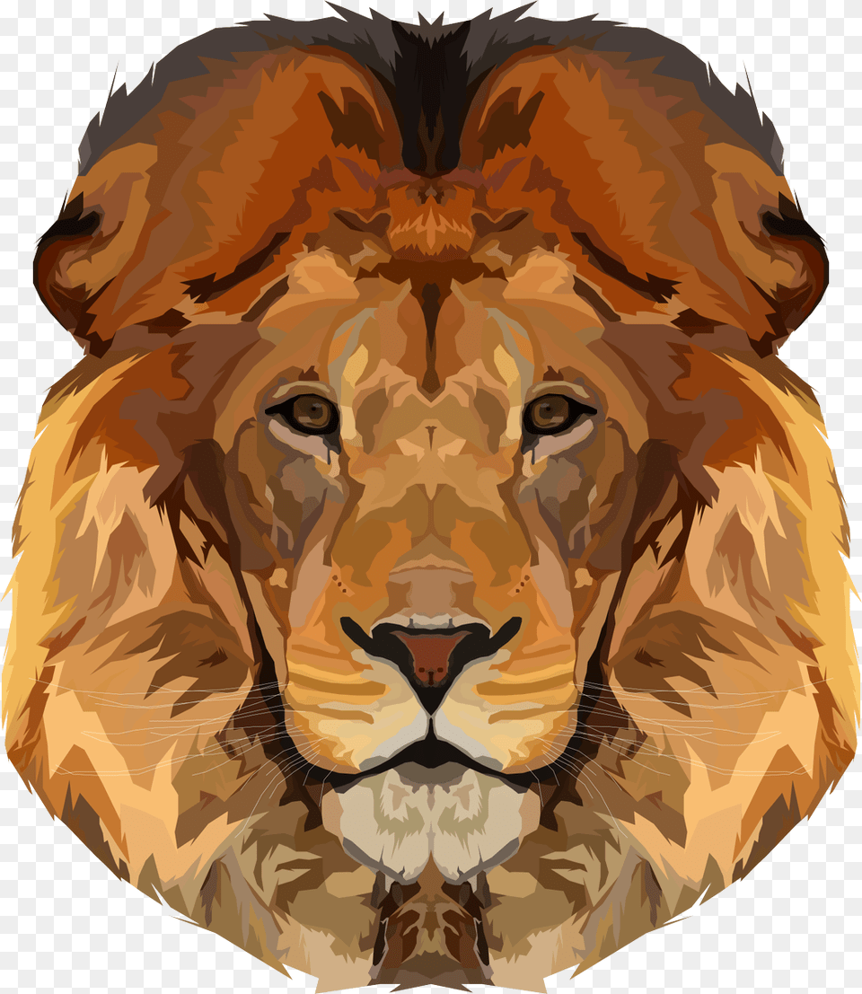 Masai Lion, Animal, Mammal, Wildlife, Person Free Transparent Png