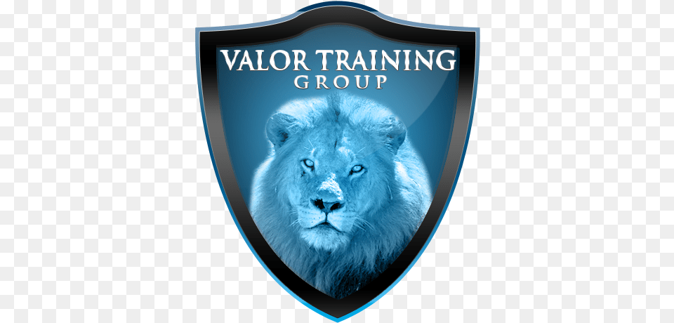 Masai Lion, Animal, Mammal, Wildlife, Blackboard Png Image