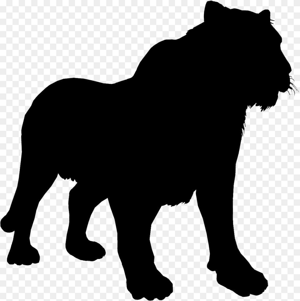 Masai Lion, Animal, Mammal, Wildlife Free Png Download