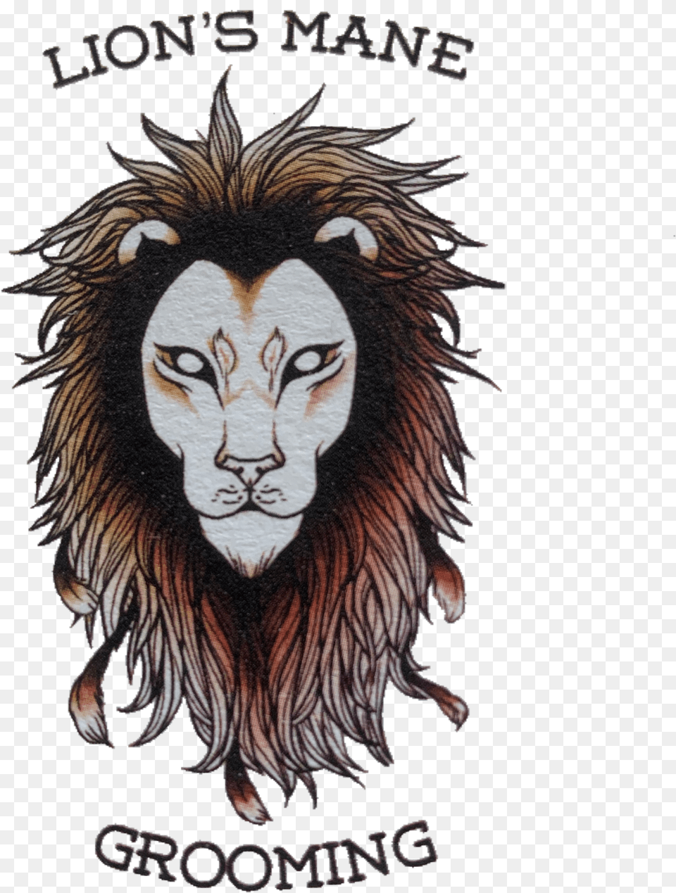 Masai Lion Free Transparent Png