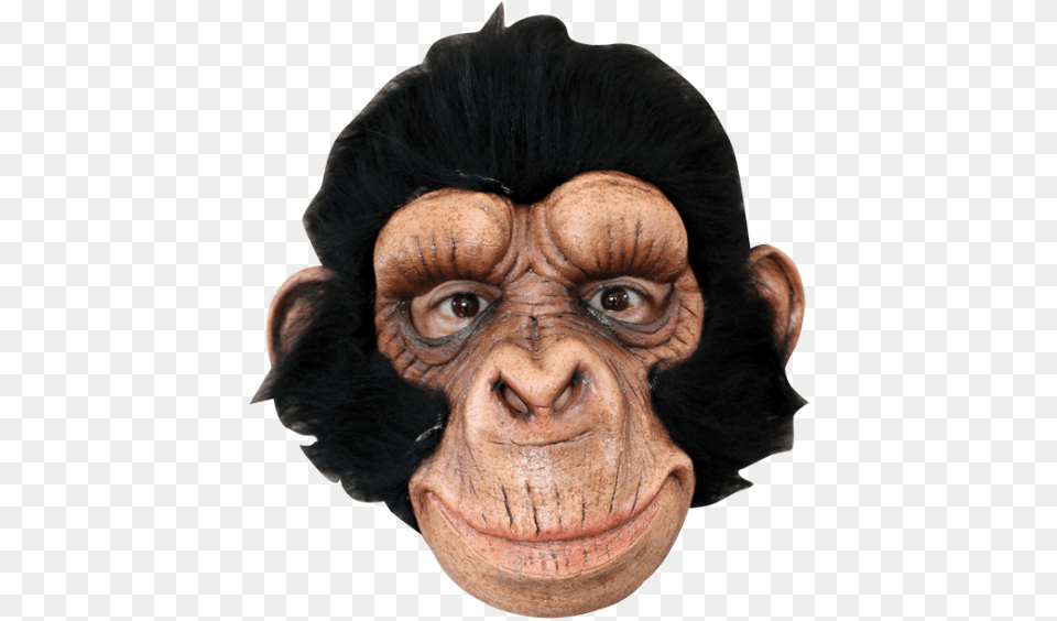 Mascara Chimpance, Adult, Female, Person, Woman Free Png Download