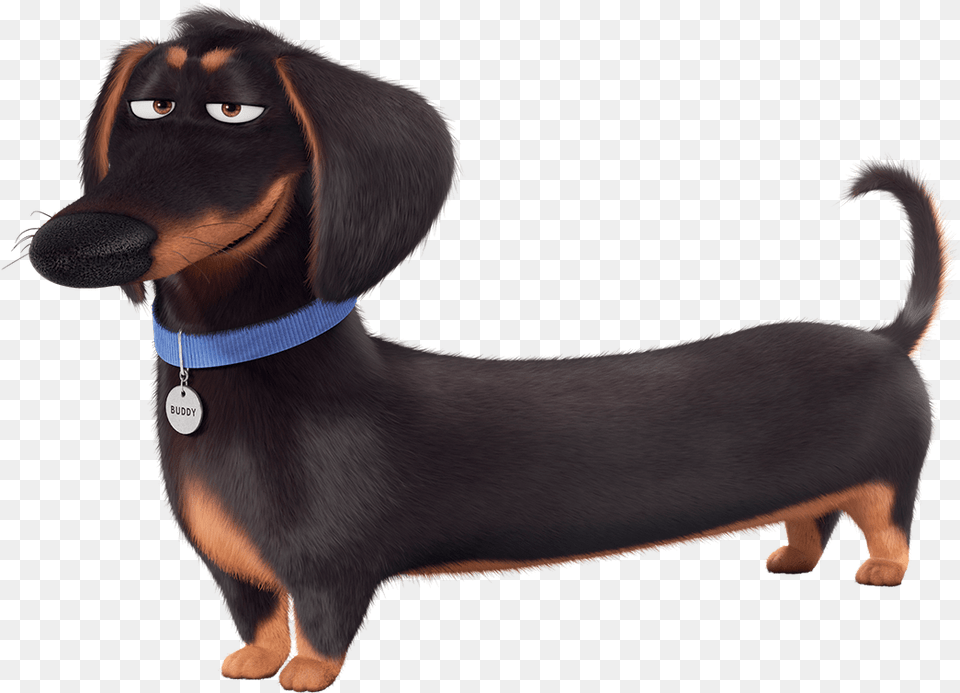 Mascotas Buddy Secret Life Of Pets Characters, Snout, Animal, Canine, Dog Free Transparent Png