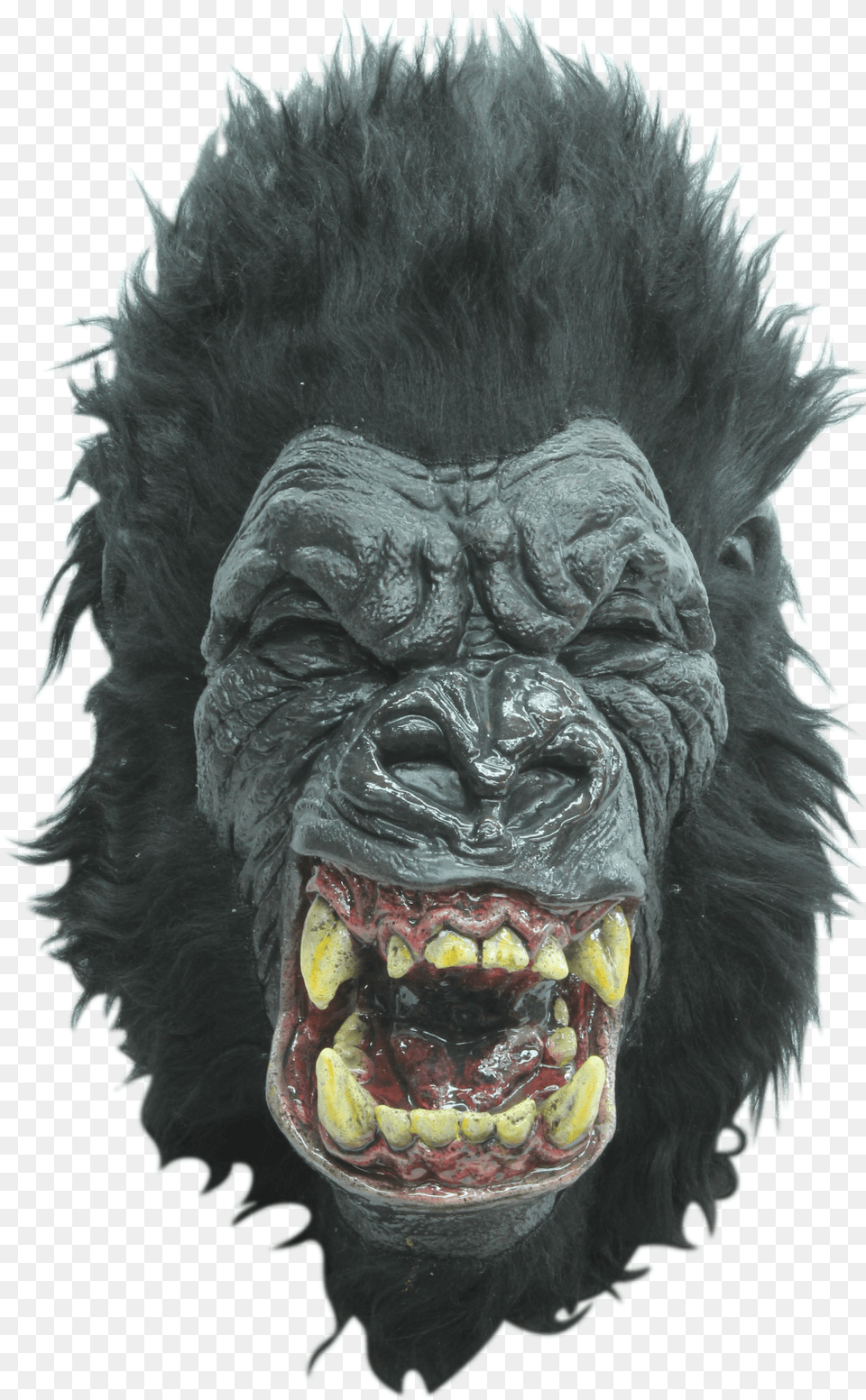 Mask, Animal, Ape, Mammal, Wildlife Png